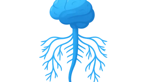 Autonomic Nervous System