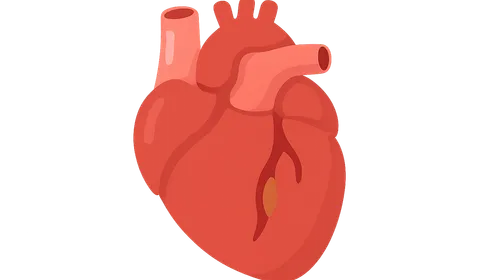 Acute Coronary Syndromes