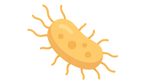 Bacterial Physiology and Metabolism