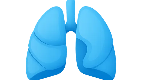 Congenital and Developmental Chest Anomalies