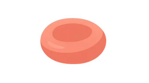 Hematology (anemias, clotting disorders)