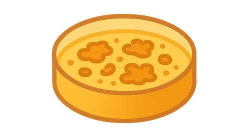 Diagnostic Microbiology