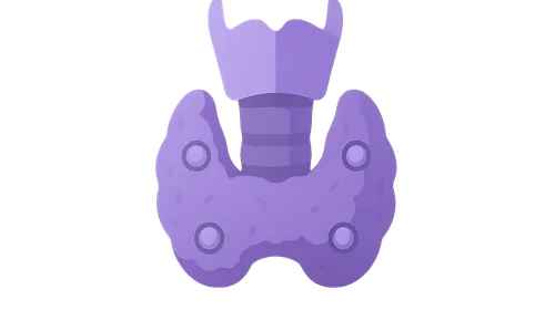 Thyroid and Parathyroid Glands