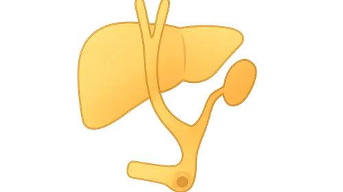 Biliary atresia and Kasai procedure