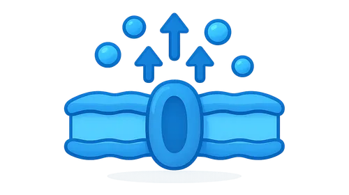 Membrane Transport Mechanisms