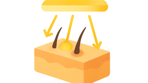 Photodynamic Therapy