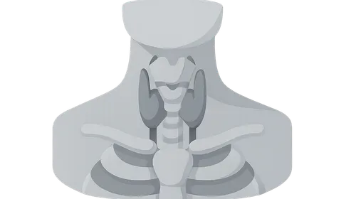 Deep Structures of the Neck