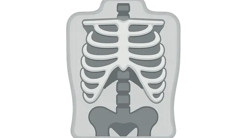 Radiographic Anatomy