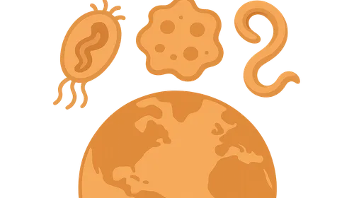 Global health impact of parasitic infections