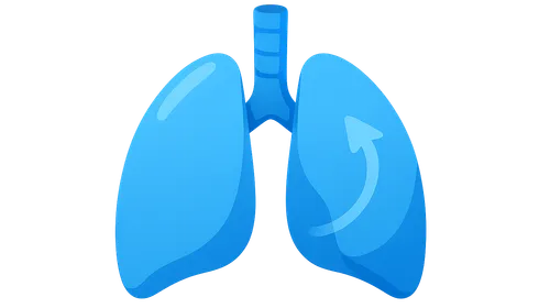 Pulmonary Ventilation