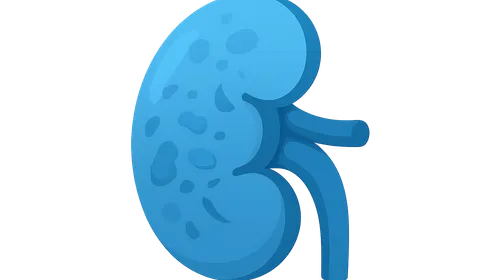 Tubulointerstitial diseases