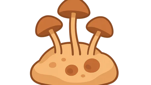 Opportunistic Fungal Infections