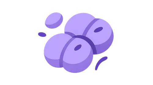 Meningococcal disease