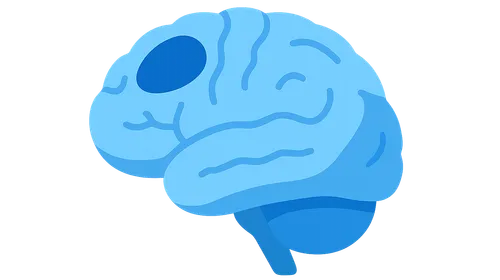 Functional Correlations in Clinical Practice