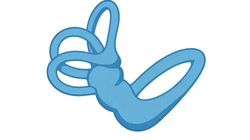 Physiology of Balance