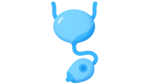 Urinary diversion procedures