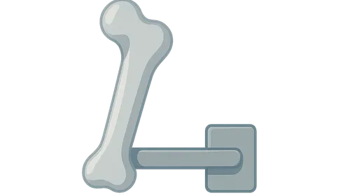 Principles of Biomechanics