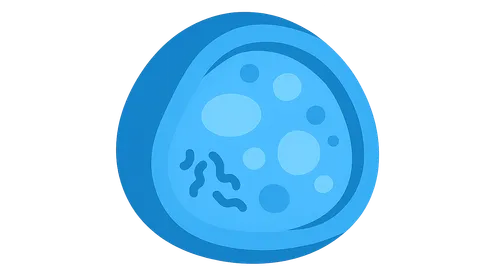 Lysosome structure and function