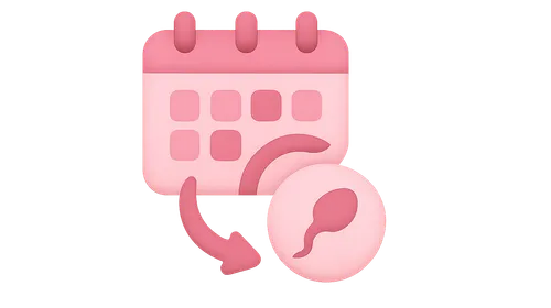 Natural Family Planning Methods