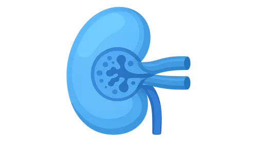 Secondary glomerular diseases