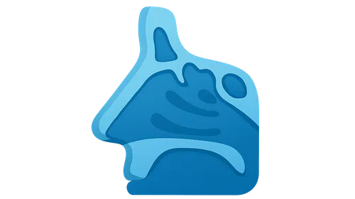 Anatomy of the Nose and Paranasal Sinuses