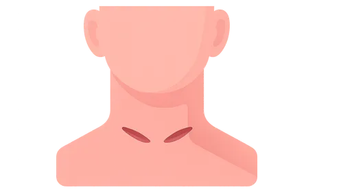 Surgical Approaches to the Neck