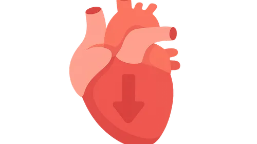 Systolic function assessment
