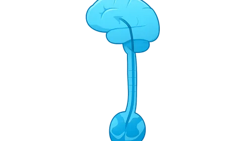 Origin and course of lateral corticospinal tract