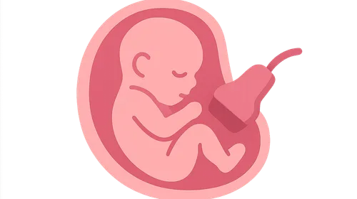 Fetal growth assessment