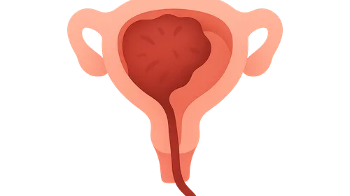 Retained placenta management