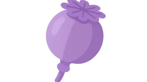 Pain management at end of life