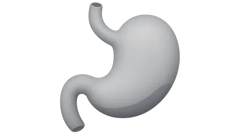 Surgical Implications of Variations