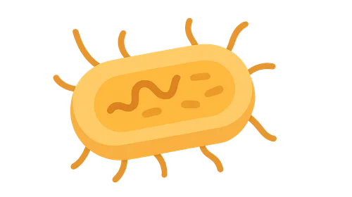 Bacterial metabolism