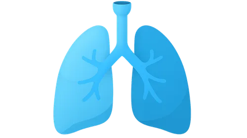 Functional Anatomy of Respiratory System