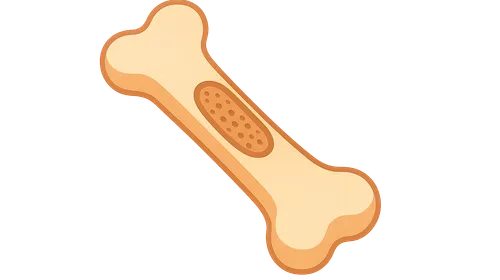 Bone Development and Growth