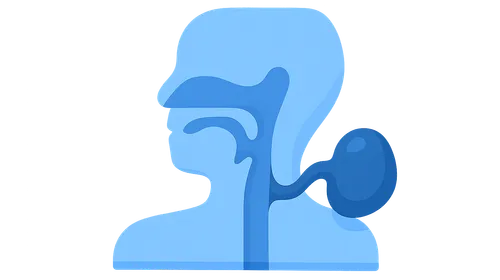 Congenital anomalies of pharyngeal arch derivatives