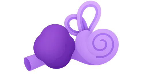 Vestibular Schwannoma Management