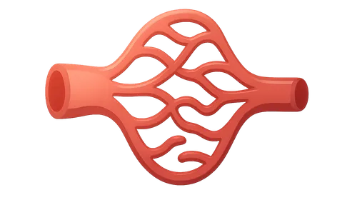 Microcirculation physiology