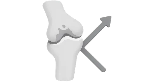 Rehabilitation in Degenerative Disorders