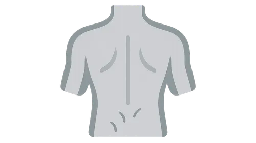 Applied Anatomy of the Back