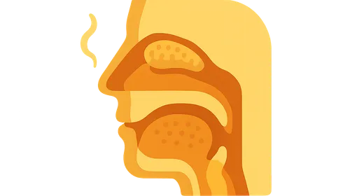 Physiology of Smell and Taste