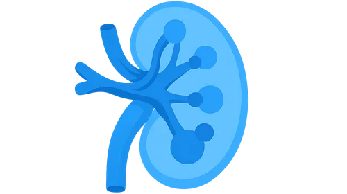 Long-term complications of transplantation