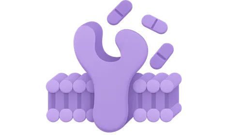P-glycoprotein interactions