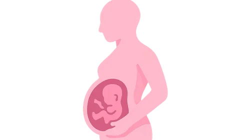 Maternal physiological adaptations to pregnancy