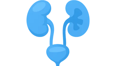 Obstructive uropathies