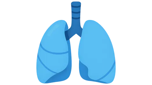 Chest wall compliance