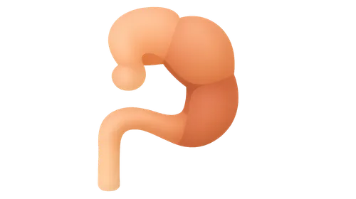 Hindgut development