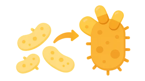Evolution of antimicrobial resistance