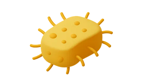 Nosocomial Infections