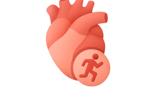 Cardiovascular responses to exercise